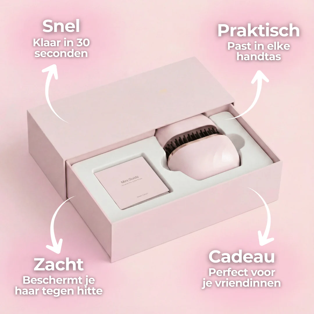 Miniatuur 2